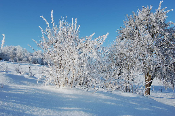 Journée froide d'hiver à Fores
. - Photo, image