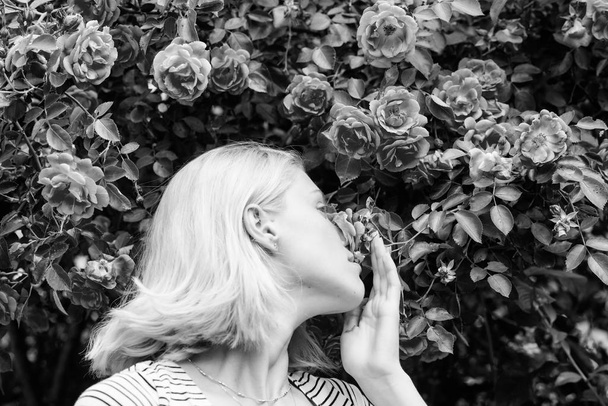 Spring and summer. Perfume and cosmetics. Woman in front of blooming roses bush. Blossom of wild roses. Secret garden concept. Aroma of roses. Girl adorable blonde sniffing fragrance of pink bloom - Foto, afbeelding
