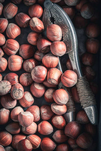 Group of hazelnuts as a healthy and good snack - Фото, зображення