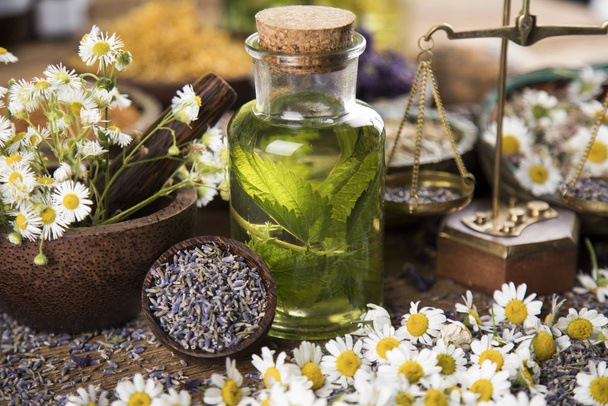 Fresh herbs and oils, wooden table background - Fotografie, Obrázek
