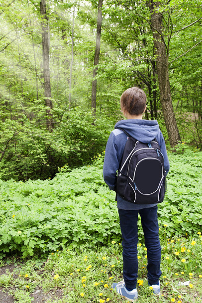 A boy with a backpack stands with his back in the forest. Spring - Foto, Bild