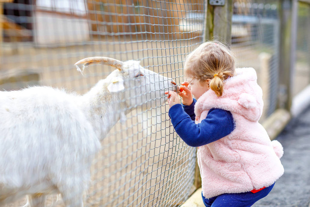 Adorable cute toddler girl feeding little goats and sheeps on a kids farm. Beautiful baby child petting animals in the zoo. Excited and happy girl on family weekend. - Foto, imagen
