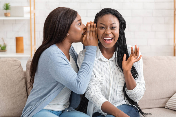 Two young african american women gossiping on couch at home - Photo, image