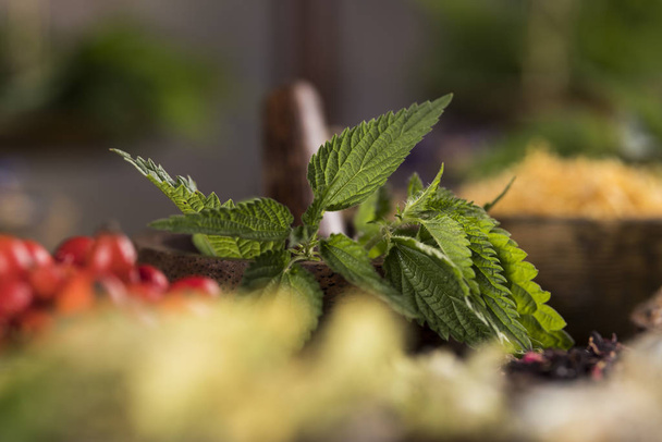 Fresh medicinal herbs on wooden background - Фото, зображення