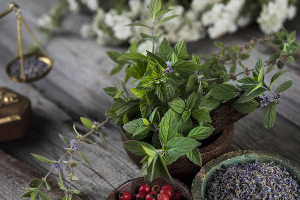 Homeopatía, medicina herbal en mesa de madera - Foto, imagen