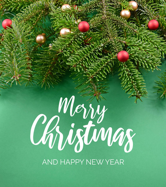 Merry Christmas and Happy New Year Sign with spruce branch - Photo, Image