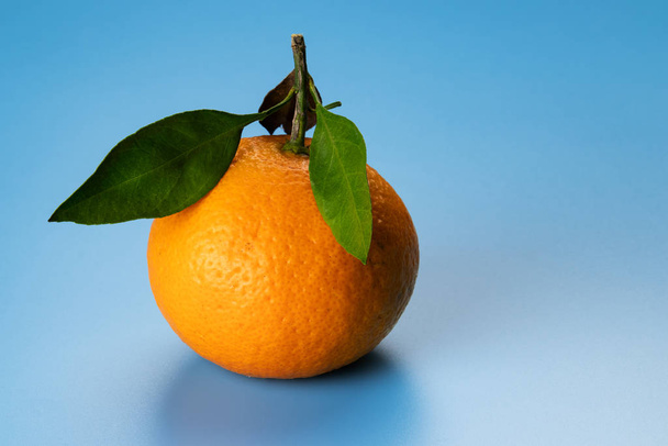 Ripe tangerine with leaves on a blue background. - Photo, Image