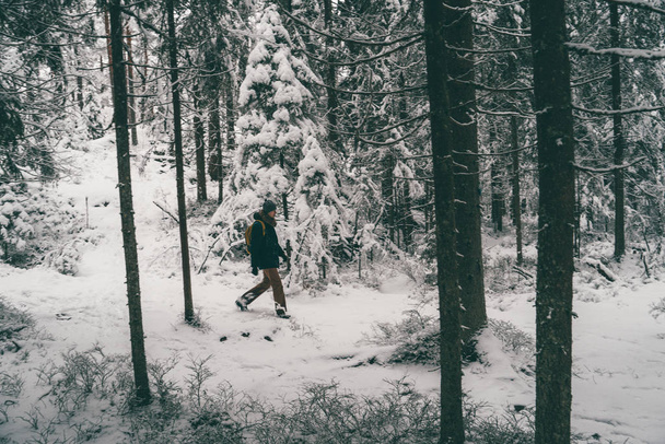 Φωτογραφία από μακριά του αρσενικού τουριστικού περπατήματος στο δάσος του χειμώνα . - Φωτογραφία, εικόνα