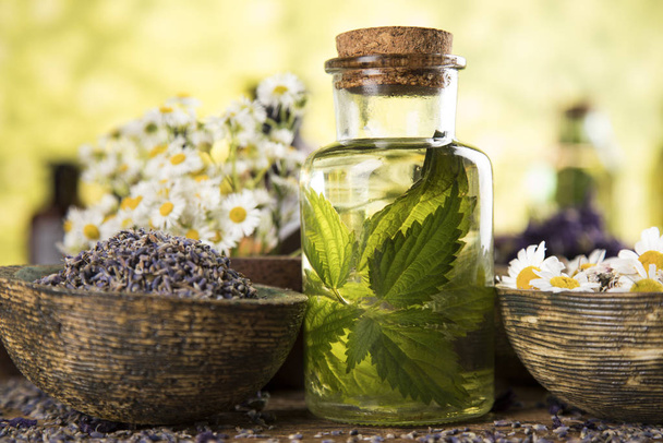 Homeopatía, medicina herbal en mesa de madera - Foto, Imagen