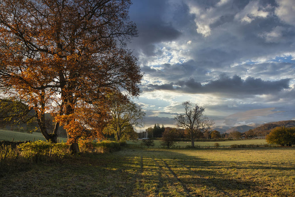 Superbe paysage d'automne dynamique de campagne dans le lac Di
 - Photo, image