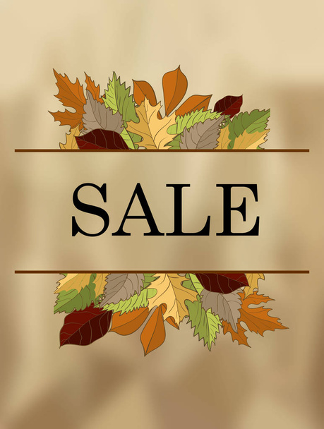 Autumn sale vector concept. Flat design. Colored leaves of variety trees on top and bottom  and sample text in the middle. For sale and discount advertising. Product label - Вектор, зображення