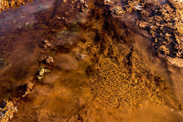 Olvadó vagy fagyasztó patak késő ősszel vagy kora tavasszal egy - Fotó, kép