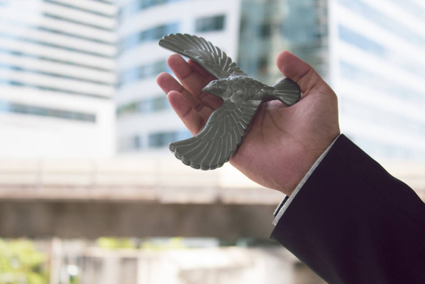 businessman holding the eagle bird toy in business vision for leadership winner concept, financial risk trading - Photo, image