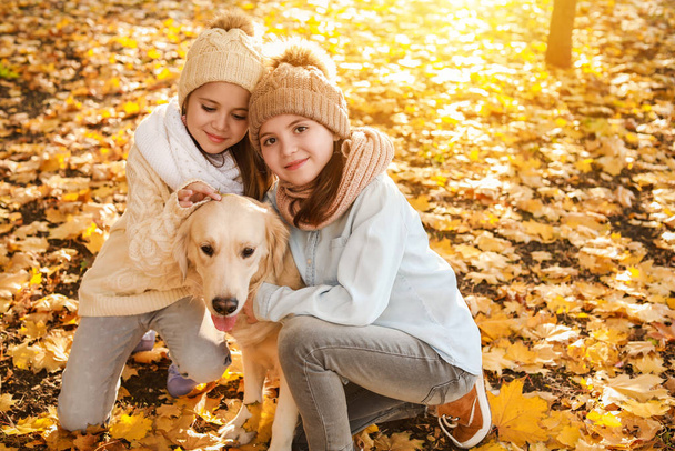 Niñas con lindo perro en el parque de otoño
 - Foto, imagen