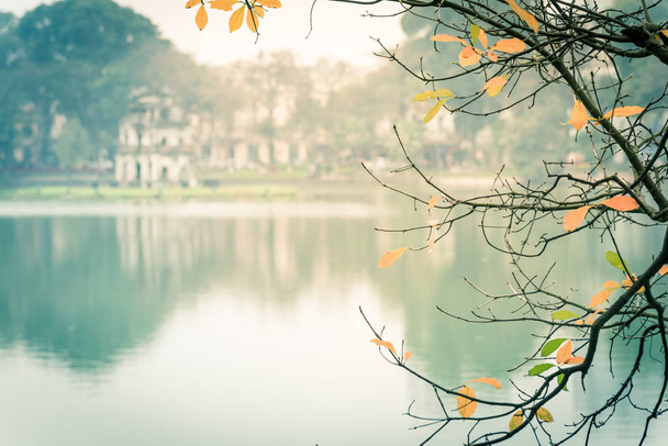 Filtered image yellow leaves of freshwater mangrove and Tortoise Tower at Hoan Kiem Lake, Hanoi - Photo, Image