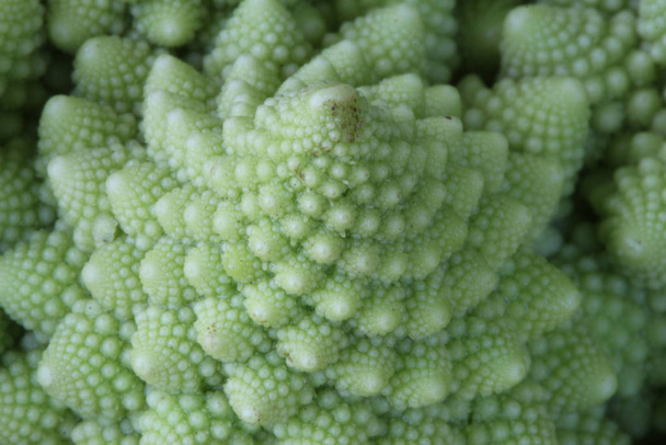 Makro z brokułami Romanesco lub rzymskim kalafiorem, z jego fraktalnymi kształtami i sekwencjami Fibonacciego. Zbliżenie. - Zdjęcie, obraz