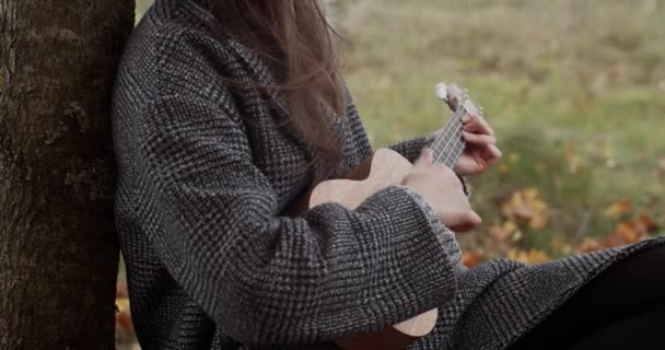 Kobieta bez twarzy gra na egzotycznym instrumencie muzycznym ukulele na świeżym powietrzu zwolniony ruch. Boczny portret nierozpoznawalnej dziewczyny trzymającej hawajską gitarę siedzącej na jesiennej trawie. Muzyka sztuka inspiracja szczęście - Materiał filmowy, wideo