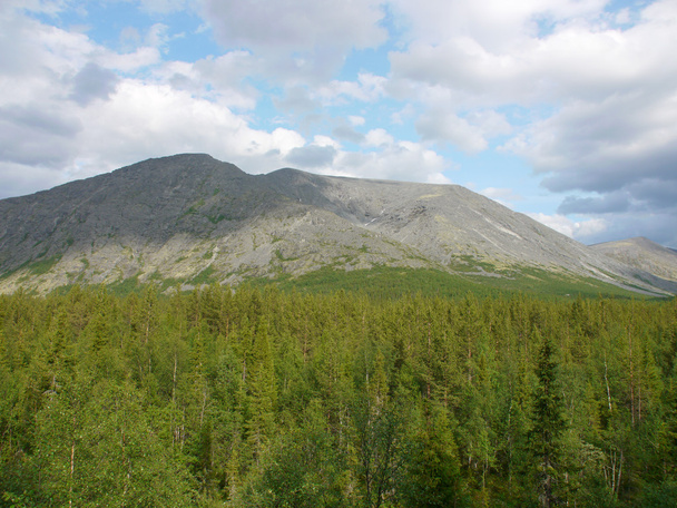 Big mountain in north of Russia - Foto, Imagen