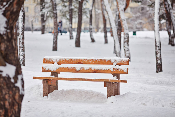Parkta bankta Kışın karda - Fotoğraf, Görsel