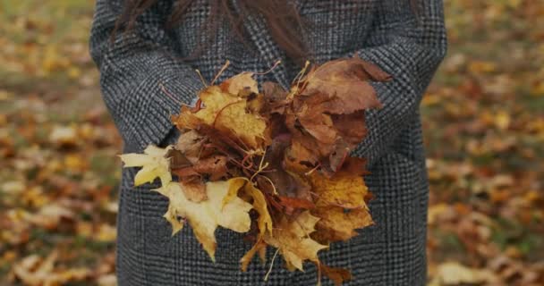 Přední pohled na ženské ruce bez tváře držící hromadu žlutých suchých listů zblízka na rozostřeném podzimním pozadí. Nerozpoznatelná žena demonstruje barevné listí venku. Sezónní módní doplňky - Záběry, video