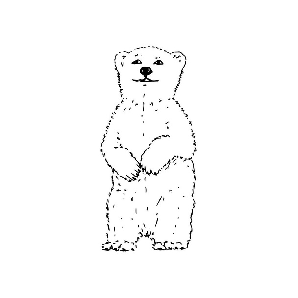 Полярний ведмідь. Ручний ескіз малюнка. Чорні контури на білому тлі. Векторні ілюстрації
 - Вектор, зображення