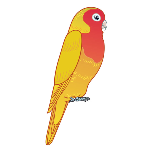 Beautiful tropical exotic lovebird. Vector illustration. - Фото, изображение
