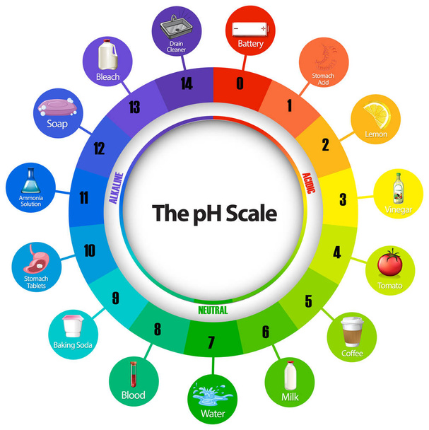 Diagramm mit pH-Skala - Vektor, Bild