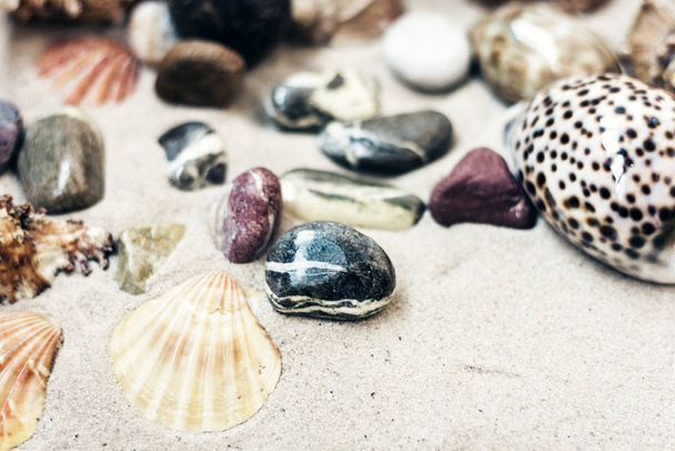 Seashells and stones on the sand, summer beach background travel - Foto, afbeelding