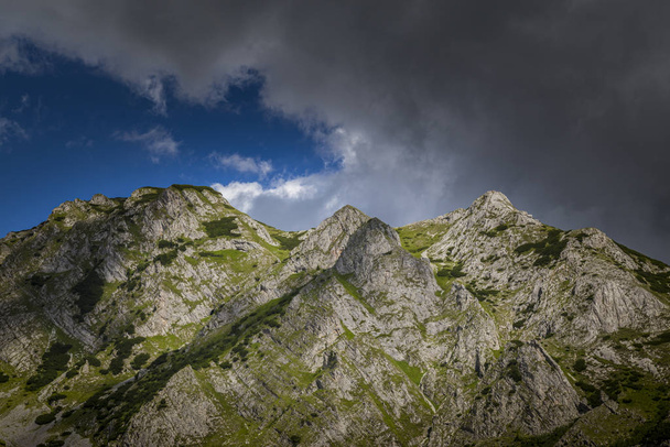 Letnia sceneria górska w Alpach z czystą przyrodą i doliną lodowca - Zdjęcie, obraz