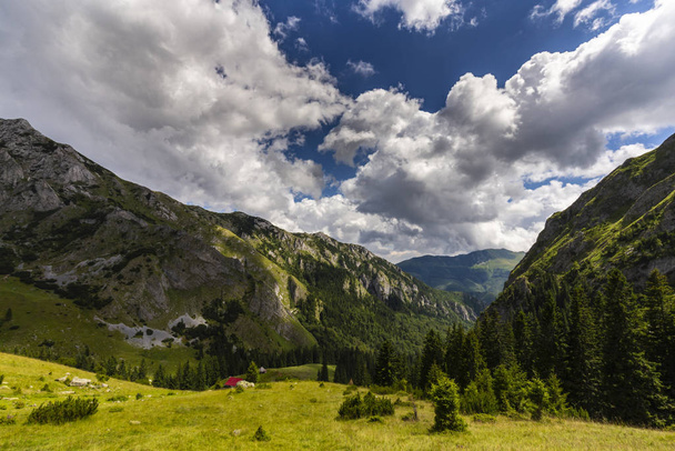 Літні гірські краєвиди в Альпах з чистою природою і долиною льодовиків. - Фото, зображення