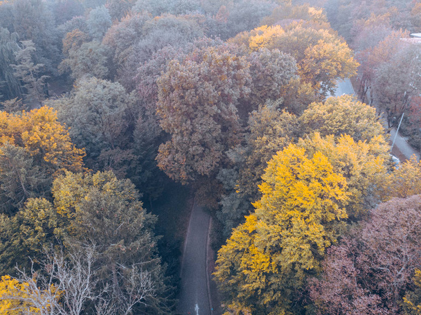 vista aérea del parque de otoño de la ciudad
 - Foto, Imagen