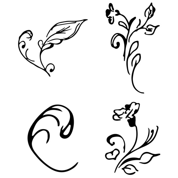 Flowers and branches hand drawn doodle collection isolated on white background. 4 floral graphic elements. Big vector set. Outline collection - Вектор, зображення