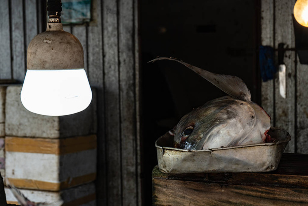 Straatvismarkt. De kop van blauwvintonijn ligt in een pan. - Foto, afbeelding