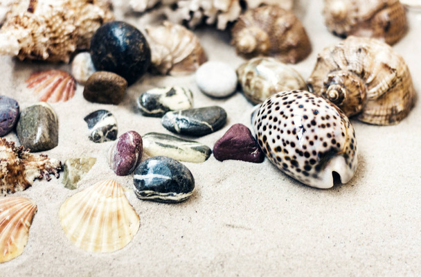 Seashells and stones on the sand, summer beach background travel - Фото, зображення