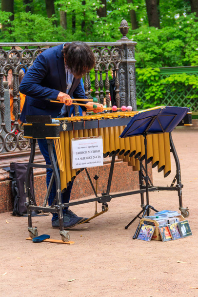 Giovane che suona uno xilofono nel vecchio parco "Summer Garden" a San Pietroburgo, Russia
 - Foto, immagini