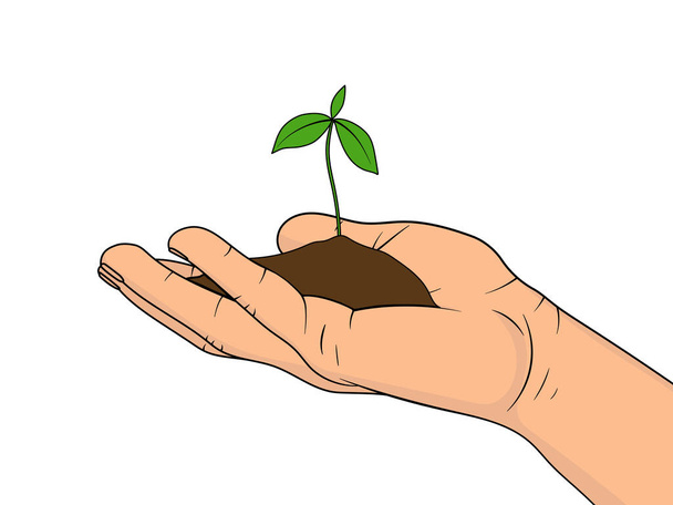 Jonge plant in de palm van de hand geïsoleerd op witte achtergrond. Concept van groei en zorg. Vector illustratie in cartoon stijl. - Vector, afbeelding