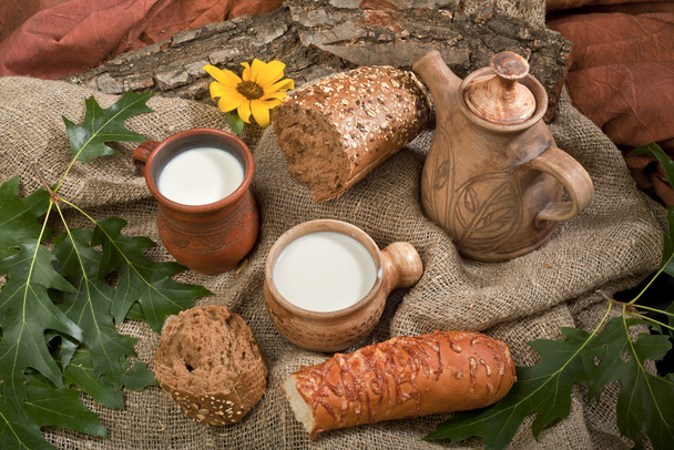 biopotraviny chléb a mléko - Fotografie, Obrázek
