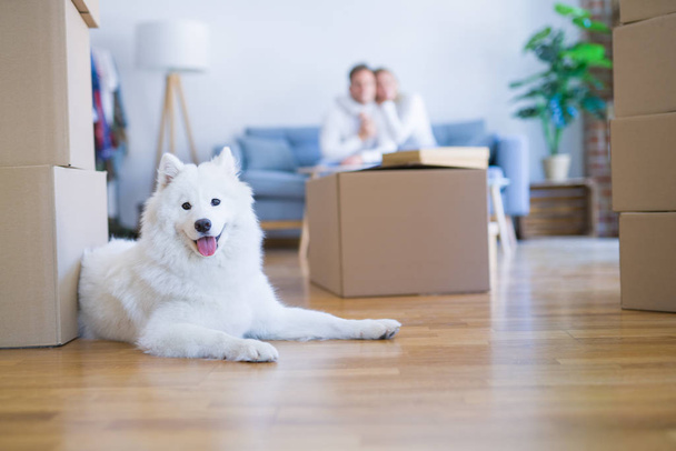 Молода красива пара з собакою сидить на дивані в новому будинку навколо картонних коробок
 - Фото, зображення