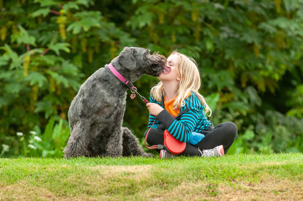 jong blond meisje zitten op gras having haar gezicht gelikt door een zwart labradoodle hond aan een riem - Foto, afbeelding