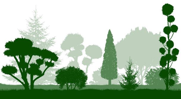Dekorativní trpasličí stromy, zahradní jehličnany. Siluety. Vektor - Vektor, obrázek