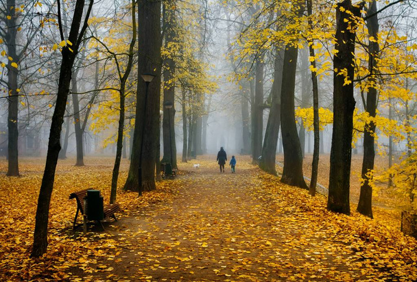 Tartu, Estonya 'da Puslu Toomemgi Parkı  - Fotoğraf, Görsel