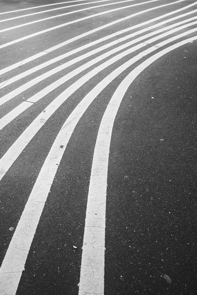 A vertical shot of the white lines painted on the asphalt - Фото, изображение