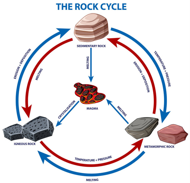 Diagrama que muestra el ciclo de roca
 - Vector, imagen