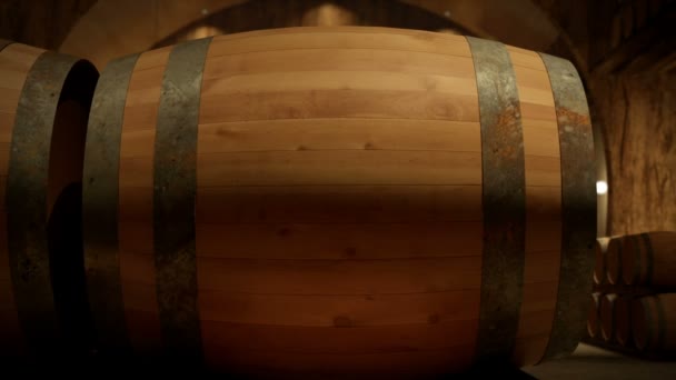 Camera paning op een wijnmakerij Pakhuis - Video