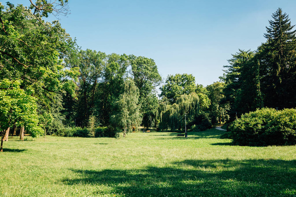 Park Ribnjak green forest in Zagreb, Croatia - Photo, Image