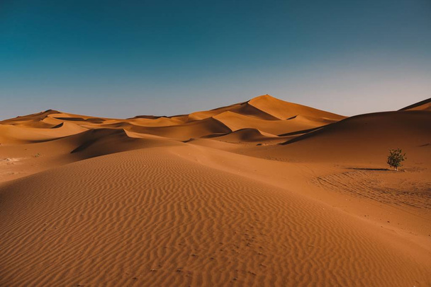 A beautiful view of tranquil desert under the clear sky captured in Morocco - Photo, Image