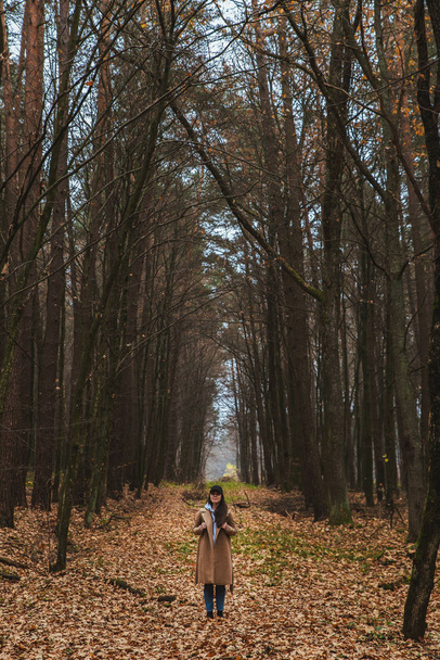 femme en tenue d'automne marchant en forêt
 - Photo, image