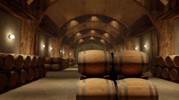 Camera paning op een wijnmakerij Pakhuis - Video 2 - Video