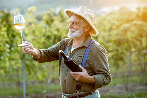 Senior winemaker tasting wine on the vineyard - Photo, Image