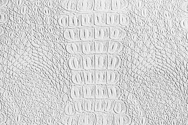 White crocodile leather texture. Abstract background for design with copy space for a text. - Photo, Image